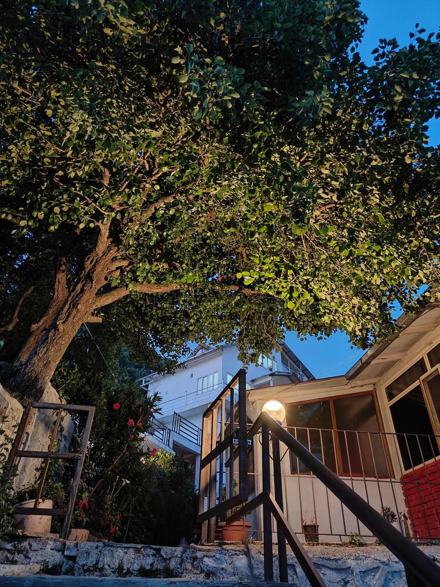 Woodpecker Nest By Lakes & Woods Mukteshwar Exterior foto