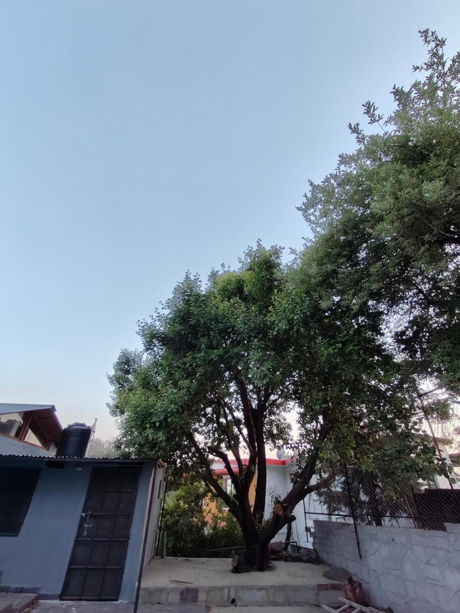 Woodpecker Nest By Lakes & Woods Mukteshwar Exterior foto